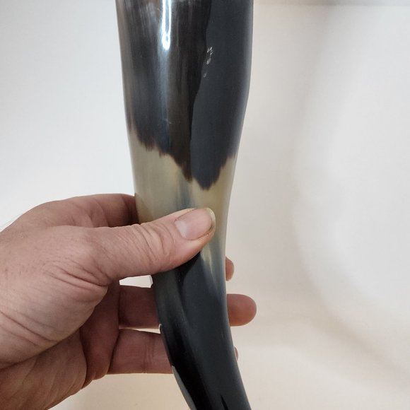 Water Buffalo Horn average 12-15 inch - Picture 10 of 11